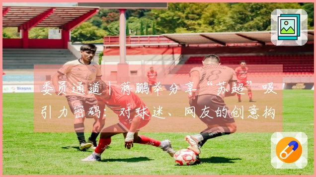 委员通道丨蒋鹏举分享“苏超”吸引力密码：对球迷、网友的创意构思，努力实现各地“即时回应”